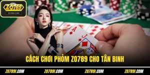 Cách Chơi Phỏm Dễ Hiểu Tại Nhà Cái ZO789 Cho Tân Binh